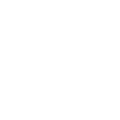 Golden Lily Wholesale
